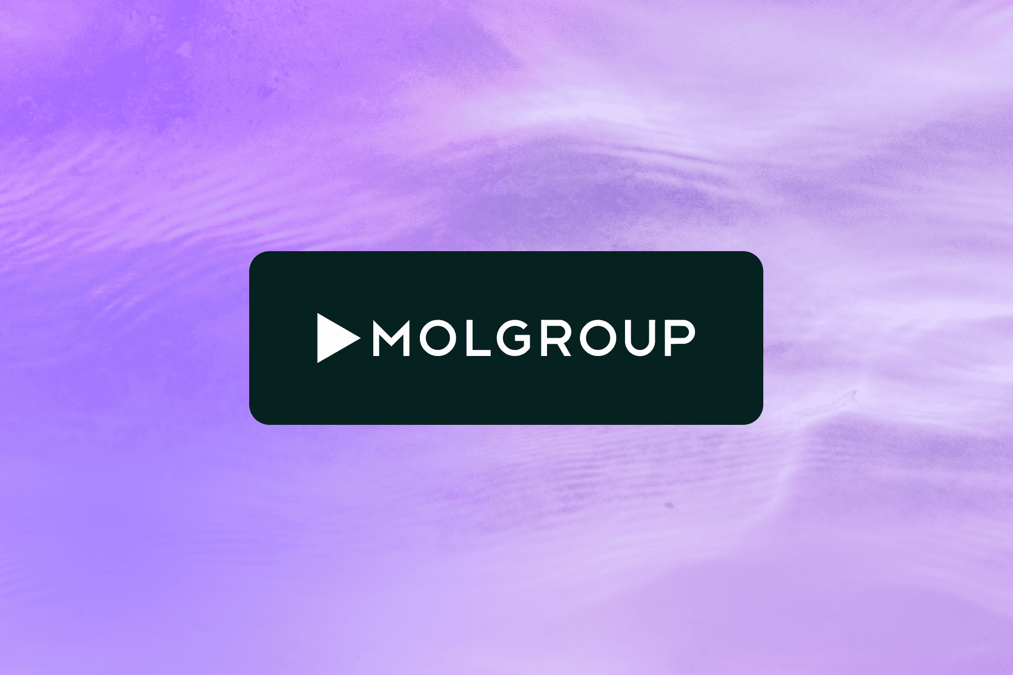 Energy firm optimizes retail pricing case study image